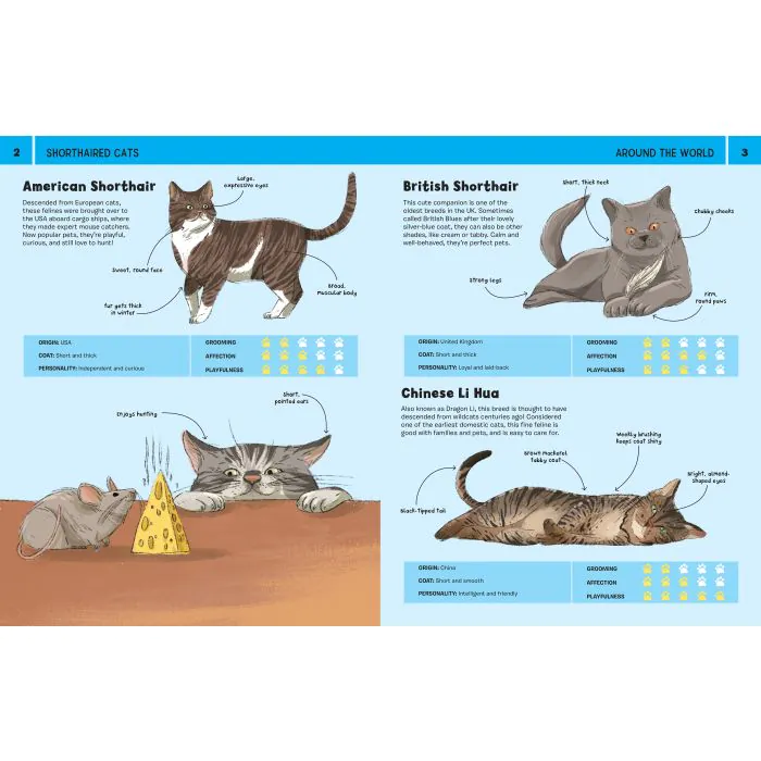 Cats Illustraed Guide To 100 Cats Book