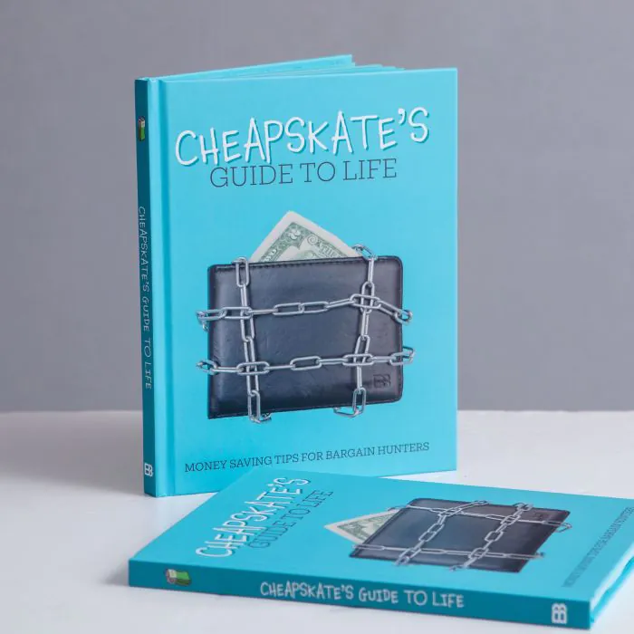Work Cheapskate A Cheapskates Guide to Life
